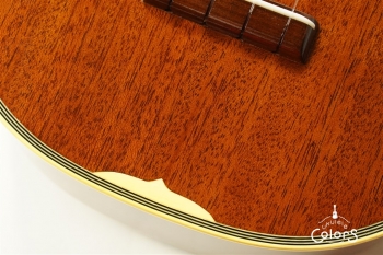 HM-C20 Concert -TR10th Anniversary Model- #361